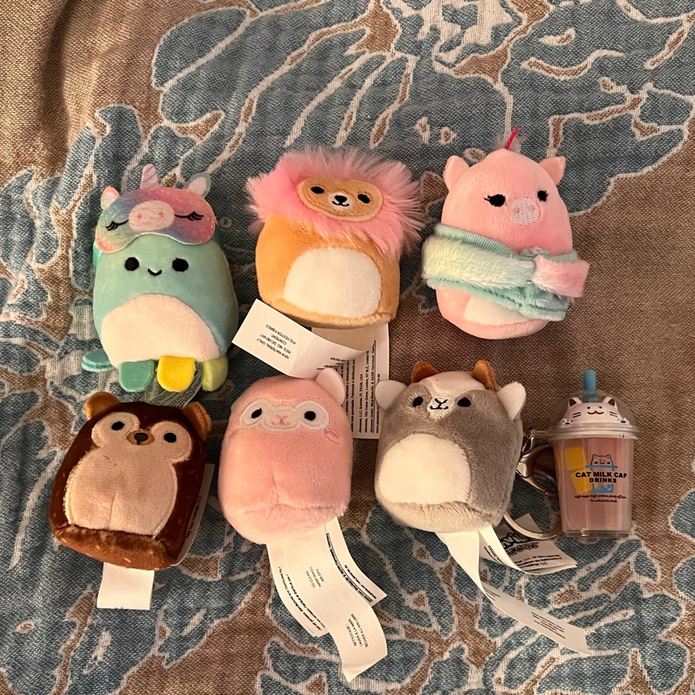 Mini squishmallow set with boba cat key ring